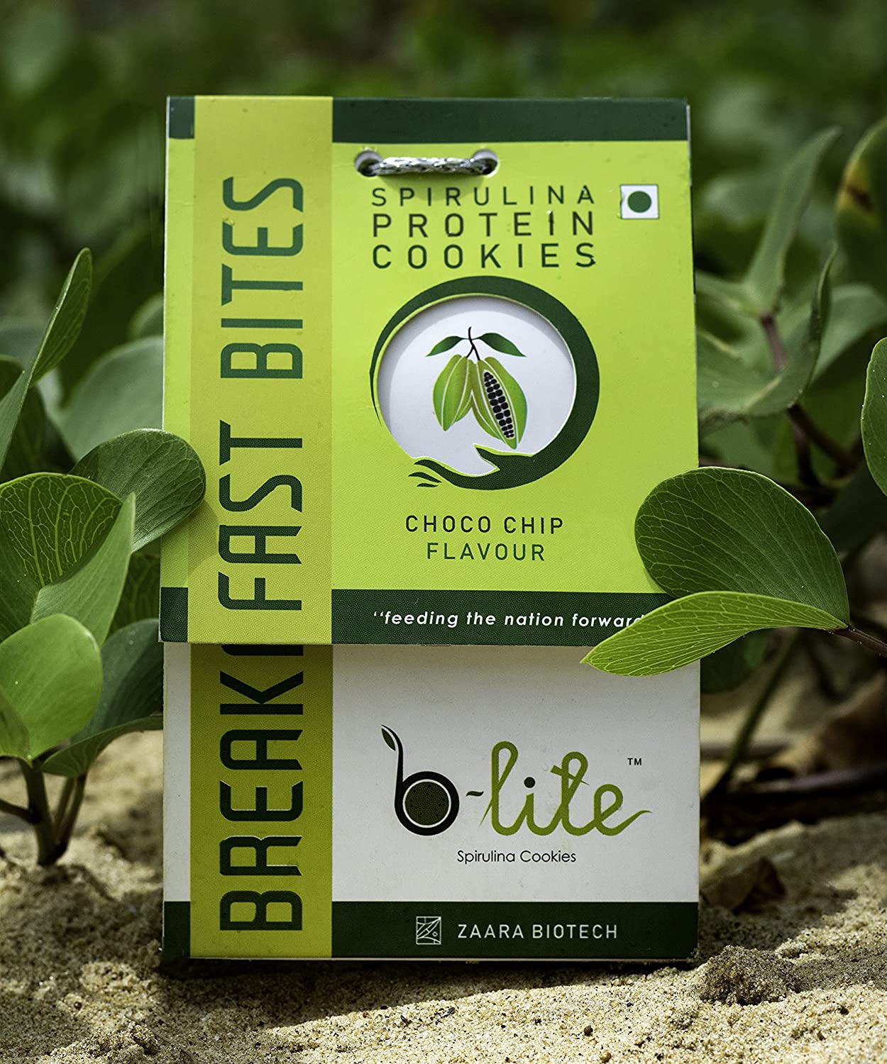 Zaara Biotech uses microalgaebased food products to combat malnutrition